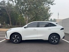 Dongfeng Fengxing Thunder 410 - ფოტო 7