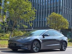 Tesla Model 3 Rear-Wheel Drive - ფოტო 1