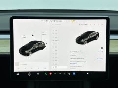 Tesla Model 3 Facelift Standard Range RWD Upgrade 3D1 - ფოტო 12