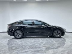 Tesla Model 3 Facelift Standard Range RWD Upgrade 3D1 - ფოტო 8