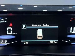Hyundai Cosworth 2024 270TGDi LUX Prestige Edition - ფოტო 12