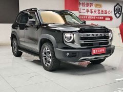 Great Wall Dachshund 2.0T DCT Chinese Rural Dog Edition - ფოტო 11