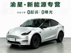 Tesla Model Y Rear-Wheel Drive - ფოტო 1