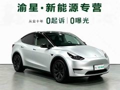 Tesla Model Y Rear-Wheel Drive - ფოტო 3