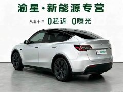 Tesla Model Y Rear-Wheel Drive - ფოტო 5