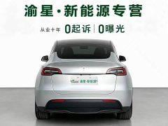 Tesla Model Y Rear-Wheel Drive - ფოტო 6