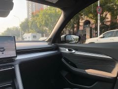 Geely Xingrui 2026 Oriental Radiance 2.0T Diesel Moonlight Edition - ფოტო 18