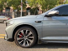Geely Xingrui 2026 Oriental Radiance 2.0T Diesel Moonlight Edition - ფოტო 9