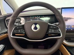 Denza D9 DM-i 980 AWD Luxury - фото 14
