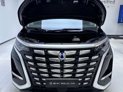 Denza BYD Denza D9 DM-i 970 Luxury - ფოტო 9