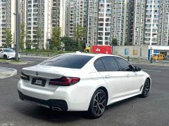 BMW 5 Series 530Li Luxury M Sport Package - ფოტო 7