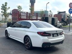 BMW 5 Series 530Li Luxury M Sport Package - ფოტო 9