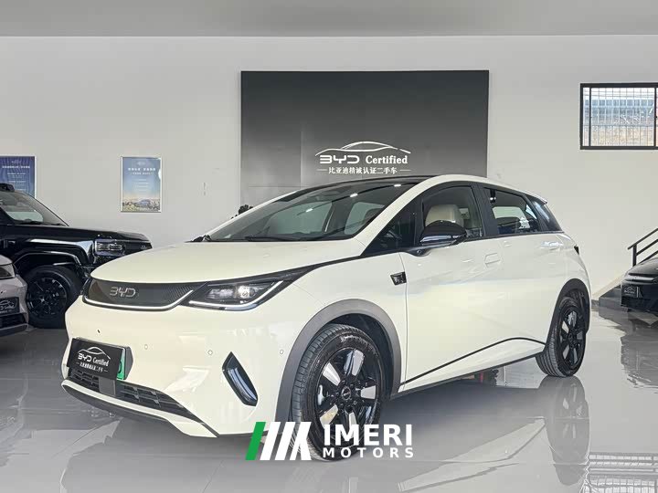 BYD Dolphin Smart Drive 410km Fashion Edition