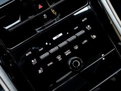 Porsche Panamera 2.9T - ფოტო 18