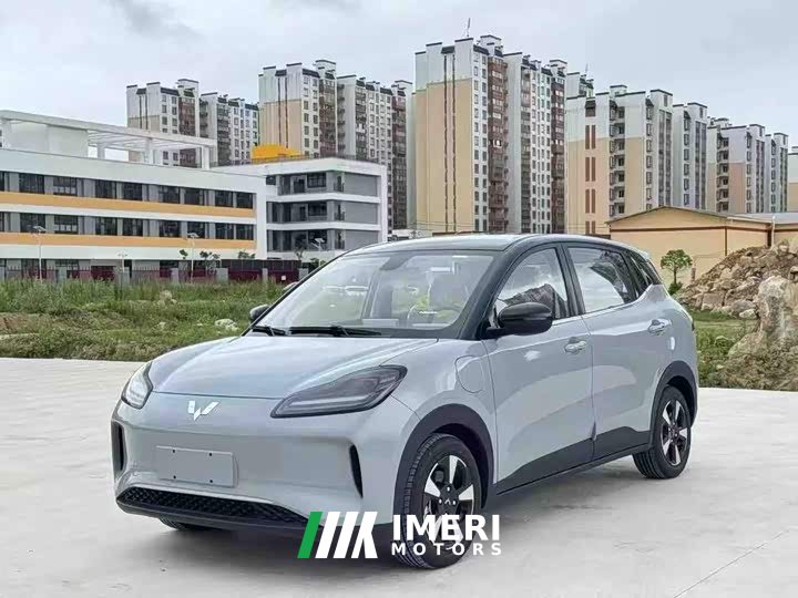 Wuling Binguo PLUS 2024 330km 5-Seater - ავტომობილი ჩინეთიდან