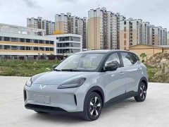 Wuling Binguo PLUS 2024 330km 5-Seater - ფოტო 1