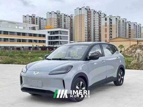 2026 Wuling Binguo PLUS 2024 330km 5-Seater - ავტომობილი ჩინეთიდან