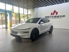 Tesla Model Y Rear-Wheel Drive Launch Edition - ფოტო 1