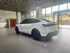 Tesla Model Y Rear-Wheel Drive Launch Edition - ფოტო 13