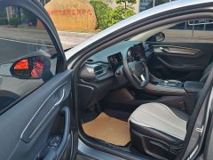 BYD Destroyer 05 Glory Edition DM-i 55KM Luxury - ფოტო 10