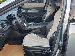 BYD Destroyer 05 Glory Edition DM-i 55KM Luxury - ფოტო 11