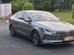 BYD Destroyer 05 Glory Edition DM-i 55KM Luxury - ფოტო 3