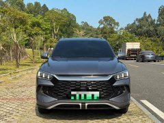 BYD Song Pro New Energy DM-i 71KM Glory Edition Pilot - ფოტო 2