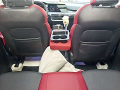 Changan CS35 Plus 2022 Blue Whale NE 1.4T DCT Luxury - ფოტო 17