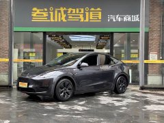 Tesla Model Y Rear-Wheel Drive - ფოტო 1