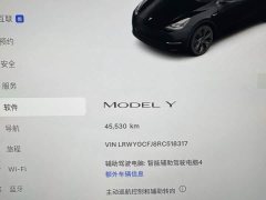 Tesla Model Y Rear-Wheel Drive - ფოტო 20