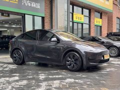 Tesla Model Y Rear-Wheel Drive - ფოტო 3