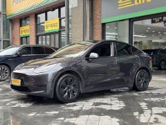 Tesla Model Y Rear-Wheel Drive - ფოტო 4