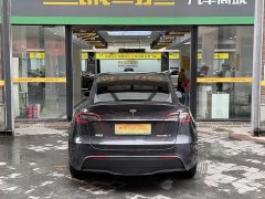 Tesla Model Y Rear-Wheel Drive - ფოტო 5