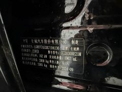 Tank 300 2.0T Conqueror - ფოტო 11