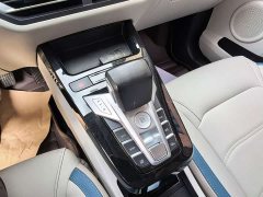 BYD Yuan Pro 401KM Luxury - ფოტო 20