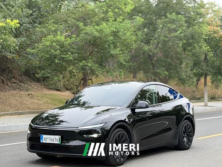 Tesla Model Y Rear-Wheel Drive