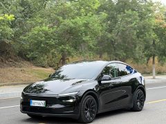 Tesla Model Y Rear-Wheel Drive - ფოტო 1