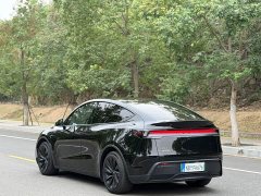 Tesla Model Y Rear-Wheel Drive - ფოტო 11