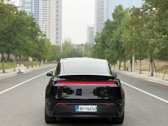 Tesla Model Y Rear-Wheel Drive - ფოტო 12