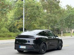 Tesla Model Y Rear-Wheel Drive - ფოტო 13