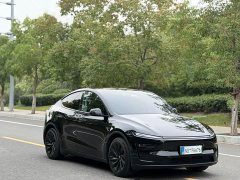 Tesla Model Y Rear-Wheel Drive - ფოტო 3