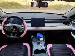 BYD Seagull 05 DM-i Smart Drive Edition 55KM Luxury - ფოტო 5