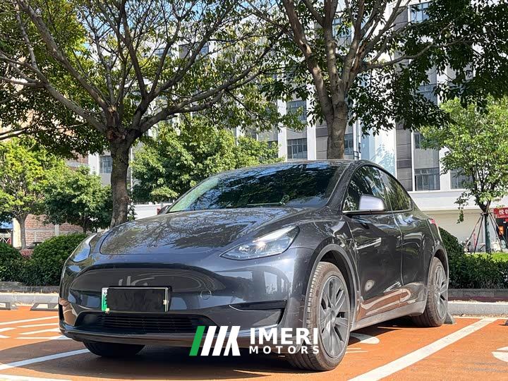 Tesla Model Y Rear-Wheel Drive
