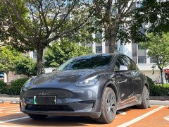 Tesla Model Y Rear-Wheel Drive - ფოტო 1