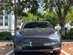 Tesla Model Y Rear-Wheel Drive - ფოტო 2