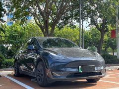 Tesla Model Y Rear-Wheel Drive - ფოტო 3