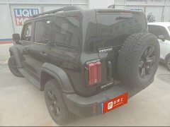 Tank 300 2025 2.0T Gasoline Conqueror - ფოტო 4