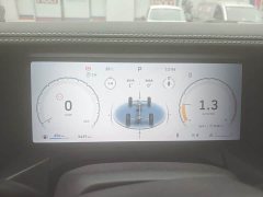 Tank 300 2025 2.0T Gasoline Conqueror - ფოტო 8