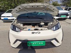BYD Seagull 2025 305km Freedom Edition - ფოტო 16