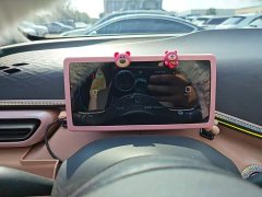 BYD Seagull 2025 305km Freedom Edition - ფოტო 8